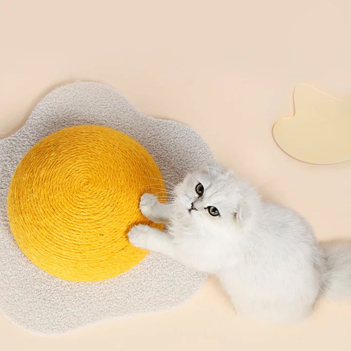 Cat Toys