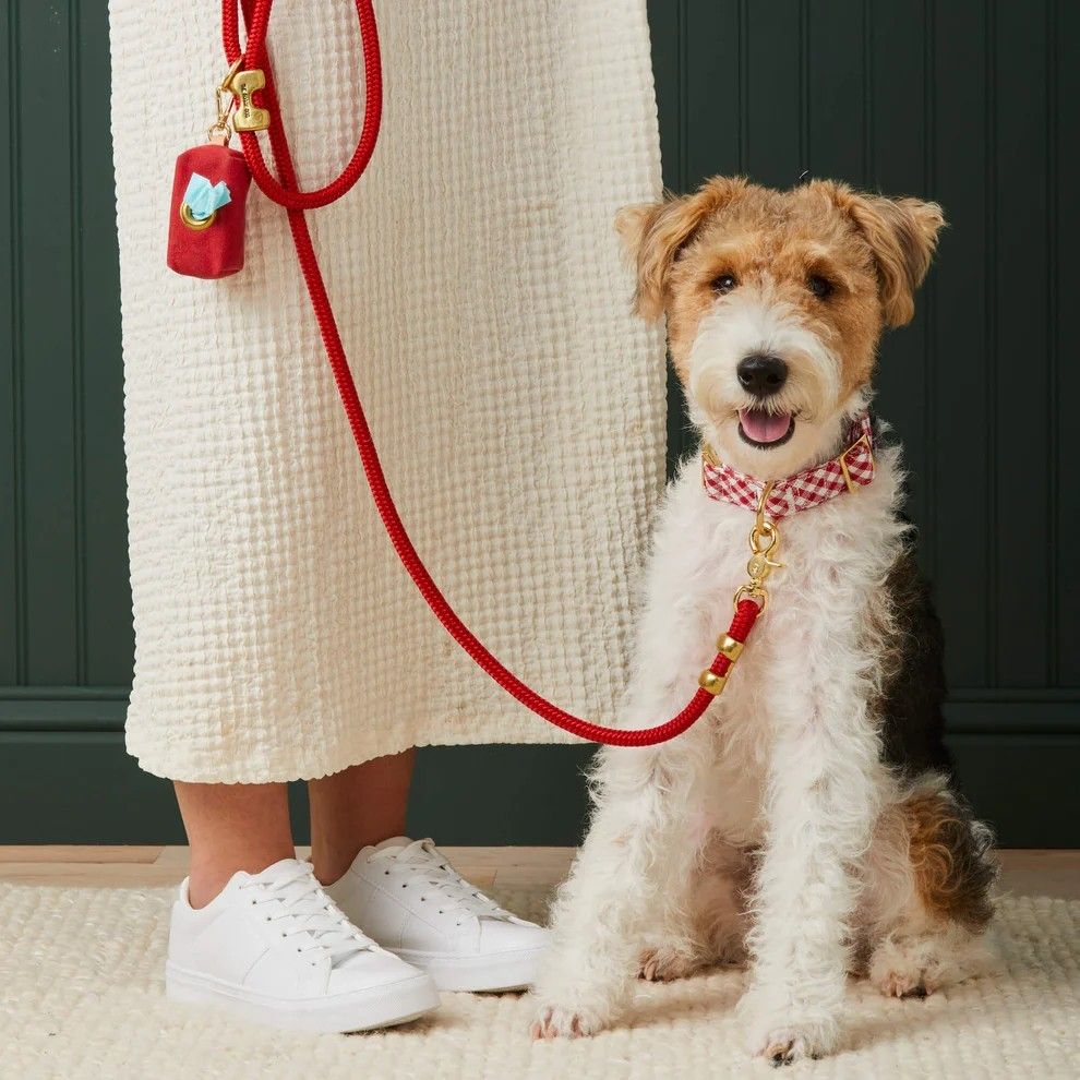 Dog Leashes